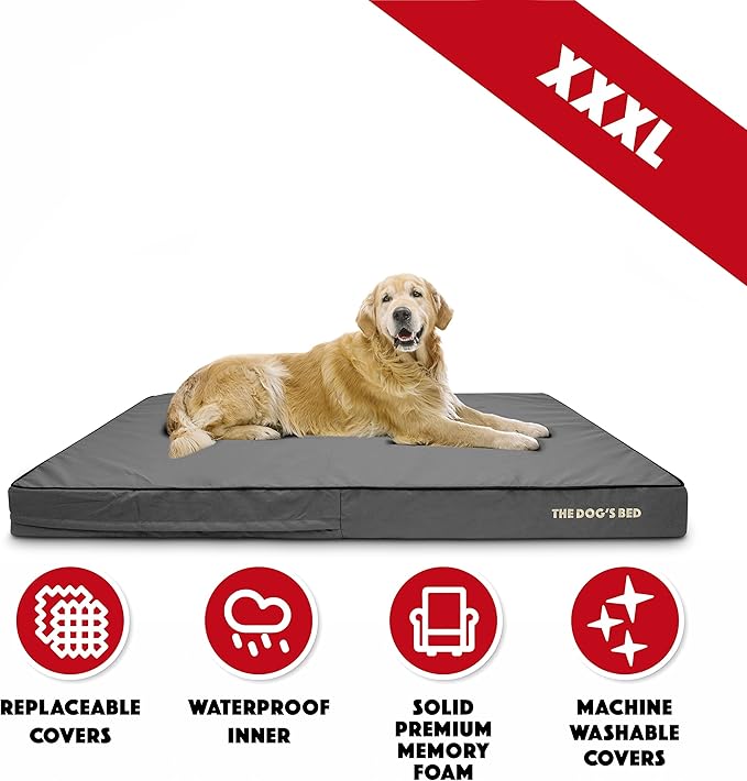 The Dog’s Bed Orthopedic Memory Foam Dog Bed, XXXL Grey & Black, Waterproof, Supportive Dog Bed with Replaceable Covers