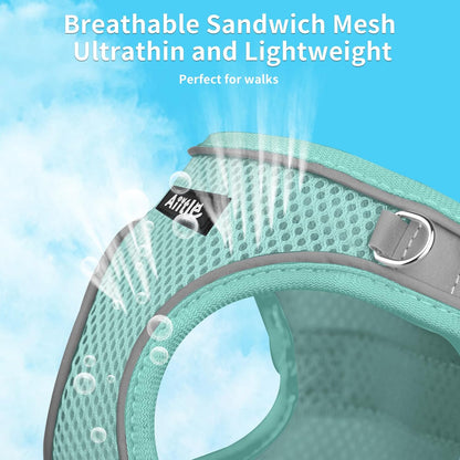 AIITLE No Pull Dog Harness and Leash Set, Step in Adjustable Dog Harness with Padded Vest for All Weather, Dog Leash with Soft Padded Handle, Easy to Put on Small and Medium Dogs Pure Turquoise S