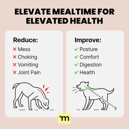 Malsipree Dog Bowls Elevated for Medium Breeds - 6.5" Raised Dog Stand - 2 Stainless Steel Bowls - Foldable Feeding Station - Raised Edges to Catch Mess & Spills - Dishwasher Safe