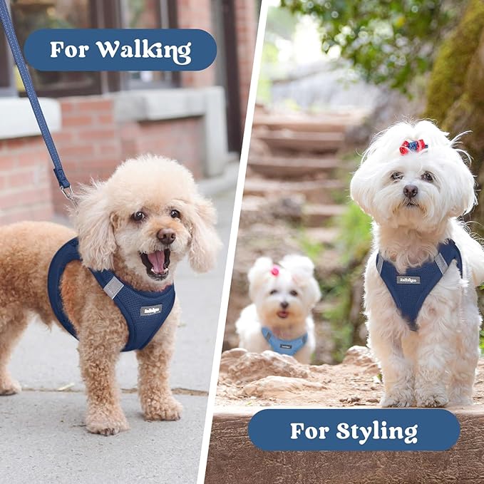 rabbitgoo Small Dog Harness, Step-in Soft Mesh Puppy Vest with Safety Buckle, Breathable Reflective Pet Harness for Small Sized Dogs, Navy Blue M