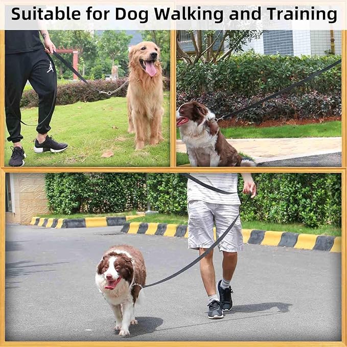 AMAGOOD 6 FT Puppy/Dog Leash, Strong and Durable Traditional Style Leash with Easy to Use Collar Hook, Great for Small, Medium and Large Dogs (3/4 in x 6 ft, Black and Green (2-Pack))