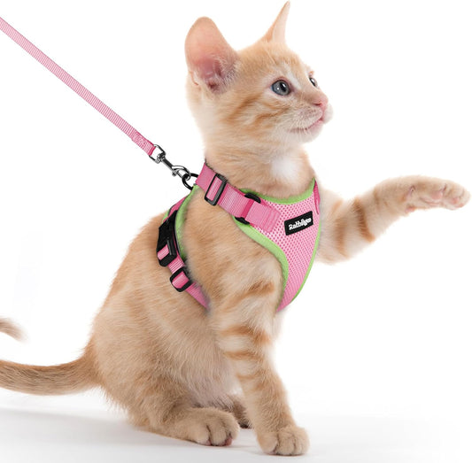 rabbitgoo Cat Harness and Leash for Walking, Escape Proof Soft Adjustable Vest Harnesses for Cats, Easy Control Breathable Reflective Strips Jacket, Green&Pink, XXS