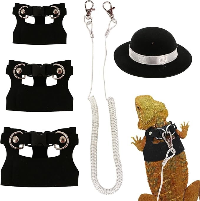 Bearded Dragon Leash and Harness Set, 3 Size Adjustable Soft Leather Lizard Leash Training Walking Prevent Escape, Spring Can be Stretched to 3m, for Iguana Squirrels Small Reptiles Outdoors (Black)