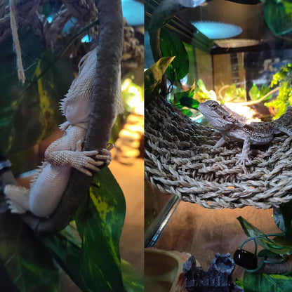 5 PCS Tank Accessories for Bearded Dragon Include Resin Classical Castle Reptile Climb Habitat Decor Hanging Jungle Vines Flexible Leaves Climbing Decor for Lizard Gecko Chameleon Spider