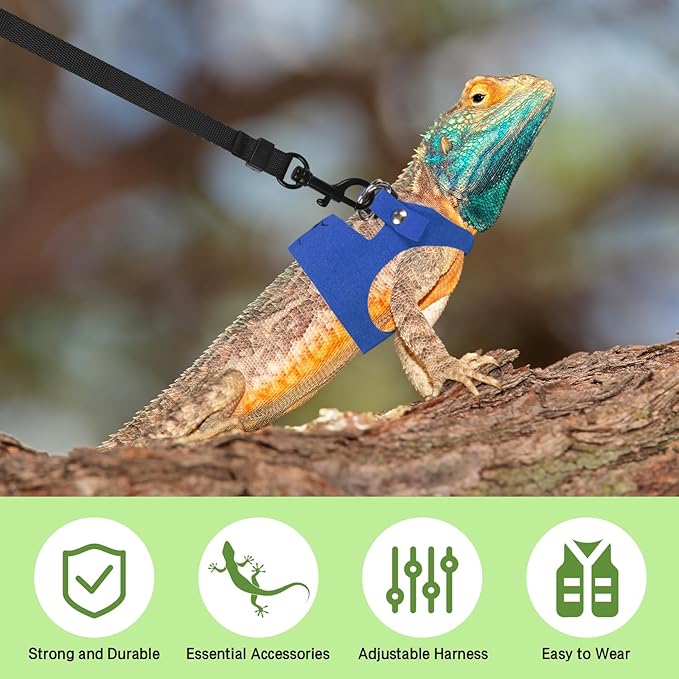 Bearded Dragon Harness Leash Set 3 Size Adjustable Lizards Training Walking Leather Vest Escape-Proof Traction Rope for Outdoor Small Reptiles Animal Squirrels (Blue)