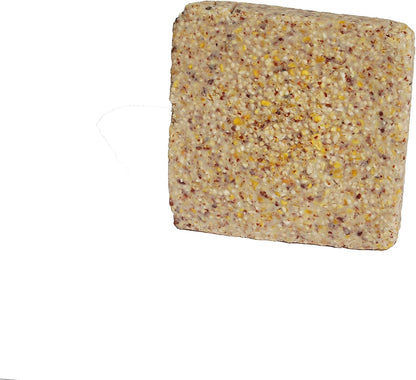 ST. ALBANS BAY SUET PLUS Suet Cake Variety Packs | 11 oz. Wild Bird Suet Cakes | (Peanut, 10 Pack)