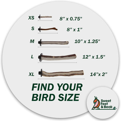 Sweet Feet and Beak Superoost Manzanita Pumice Pedicure Perch- Easy to Install Bird Cage Accessories for Healthy Feet, Nails and Beak - Natural Bird Perches Imitates Birds' Life in The Wild - XL 14"