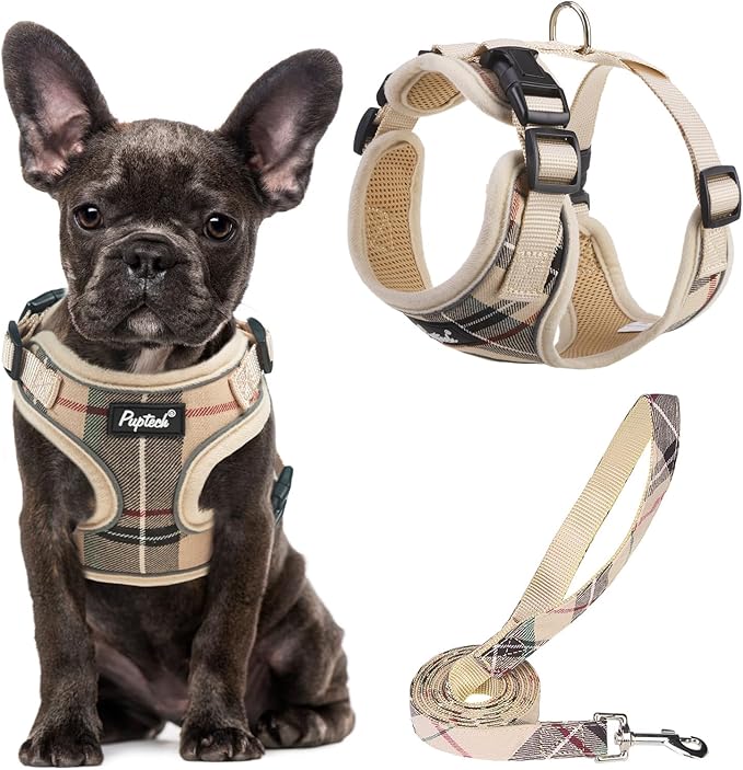 PUPTECK Soft Mesh Dog Harness and Leash Set Pet Puppy Cat Adjustable Reflective Padded Vest No Pull Harnesses, Beige, S