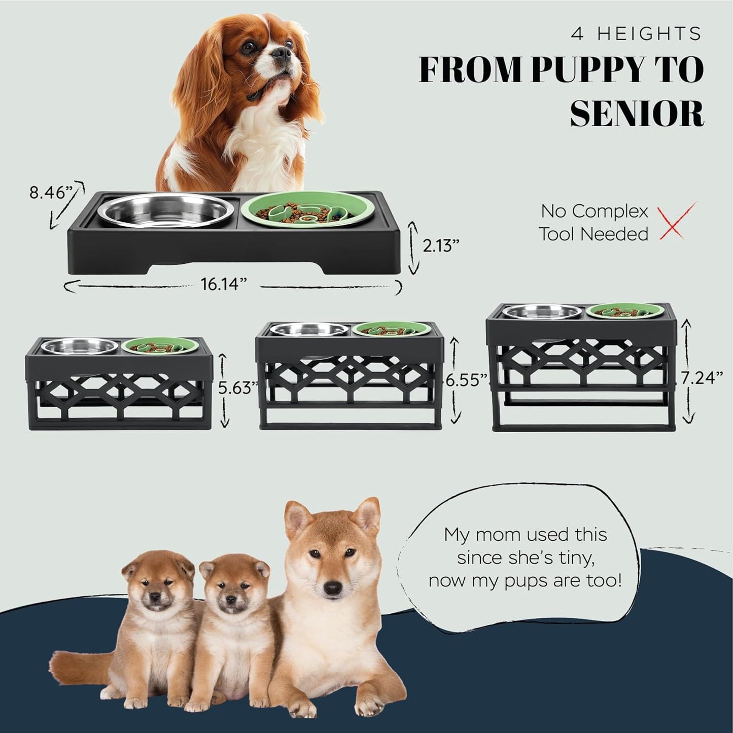 AVERYDAY Small Slow Feeder Dog Bowls Elevated, 4 Height Adjustable Raised Dog Bowl Stand with Stainless Steel Food and Water Bowl, Tall Dogs Feeding Station with Anti-Slip for Small Medium Breeds Dogs