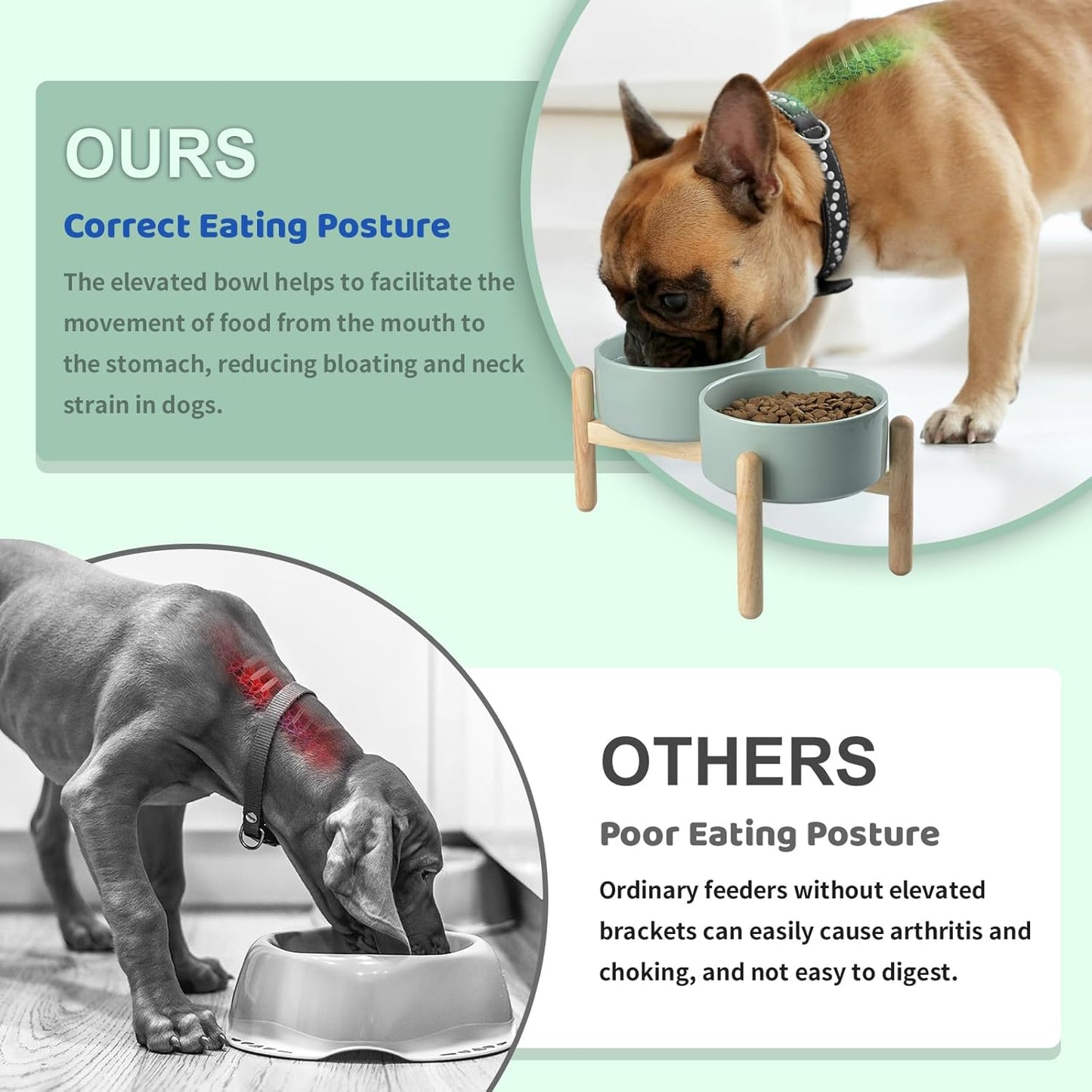 SPUNKYJUNKY Ceramics Elevated Dog Bowls with Wooden Stand Raised Bowl for Medium Large Dog Food and Water Pet Feeding Bowl(Double 60OZ Bowls,Light Green)