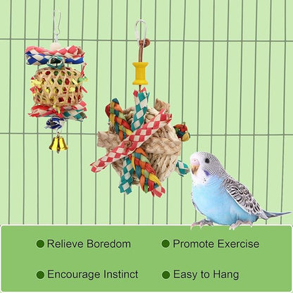 Hypeety Bird Foraging Toys Natural Seagrass Woven Basket Parrot Foraging Chewing Toy with Bell Parakeet Hanging Toys for Cockatiel Sun Parakeet Budgie Lovebirds (2pcs Bite Cake + Woven Basket)