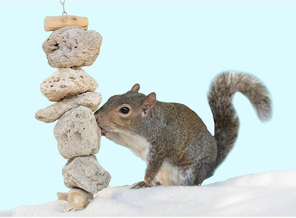 Exotic Nutrition Pumice Chew Dangle - Natural Healthy Hanging Cage Accessory Toy - for Squirrels, Degus, Chinchillas, Prairie Dogs, Birds, Rats, Hamsters, Guinea Pigs & Other Small Pets