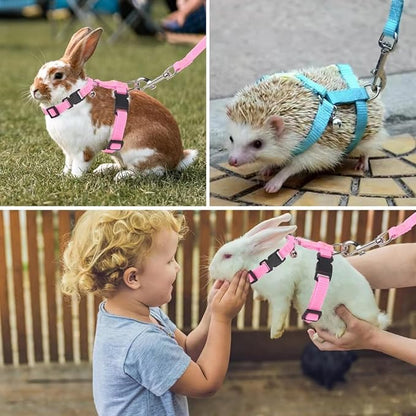 Adjustable Hedgehog Harness for Training Playing Traction Rope Small Animal Pet Outdoor Play (Blue, Small)