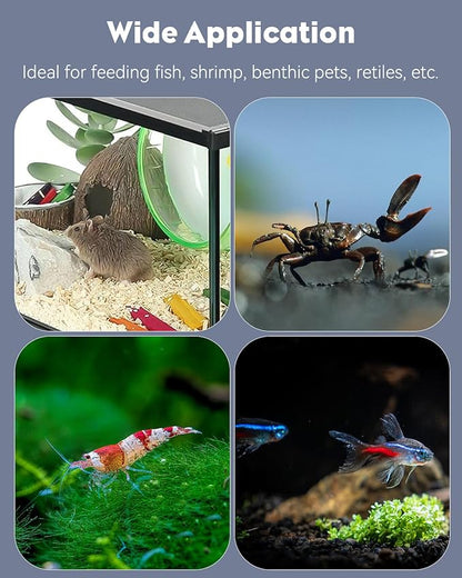 Pawfly 3 Pcs Shrimp Feeding Dish, Clear Glass Aquarium Shrimp Feeder, Transparent Food Tray for Fish Tanks and Terrariums