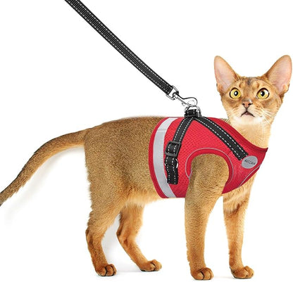 Cat Harness and Leash for Walking, Escape Proof Soft and Breathable Adjustable Vest Harness for Cats, Lightweight Easy to Control Medium Dog Kitten Harness, Comfortable Outdoor Jacket