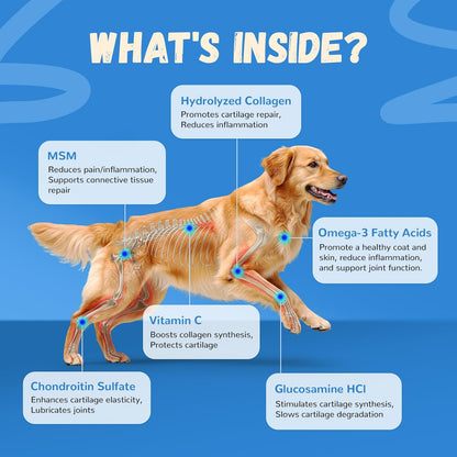 Furrolika Hip and Joint Supplement for Dogs – Made in The USA – Glucosamine, Chondroitin, MSM, Vitamin C – Chewable Joint Support for Mobility & Comfort – Beef Flavor – 60 Soft Chews