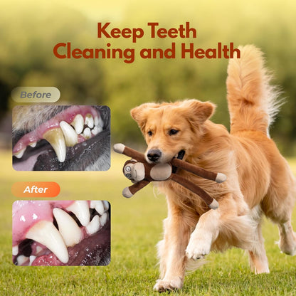 Squeaky Dog Toys with Crinkle Paper Durable Tug of War Monkey Plush Dog Toy with Soft Fabric for Small Middle and Large Dogs