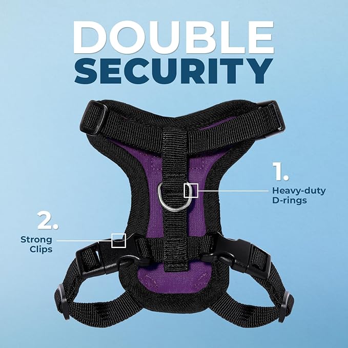 Voyager Step-in Lock Adjustable Cat Harness w. Cat Leash Combo Set with Neoprene Handle 5ft - Supports Small, Medium and Large Breed Cats by Best Pet Supplies - Purple/Black Trim, XXS