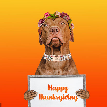 Elegant little tail Thanksgiving Dog Collar, Fall Turkey Print Pet Collar Durable Dog Collars Male or Female Holiday Pet Gift Adjustable Dog Collar for Large Dogs