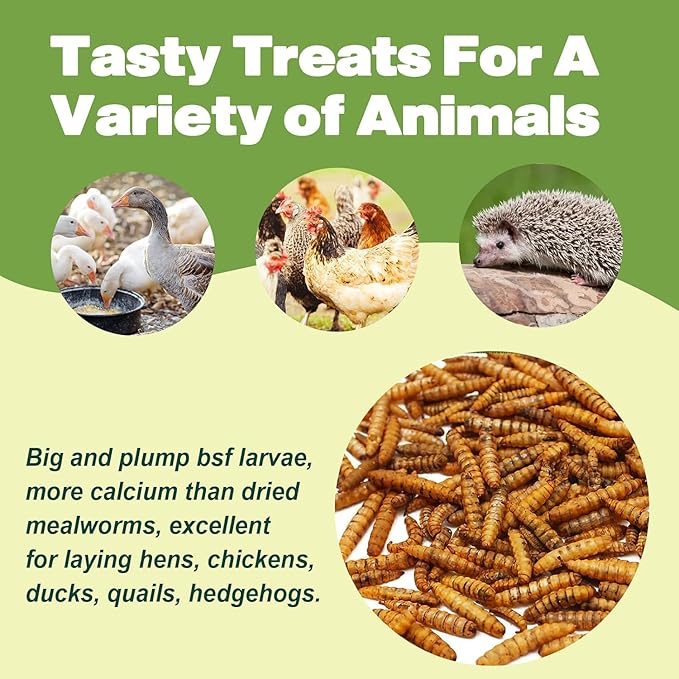 5LB Dried Black Soldier Fly Larvae, 86X Calcium Than Dried Mealworms, High Protein Non-GMO Organic Chicken Feed Reptile & Amphibian Food