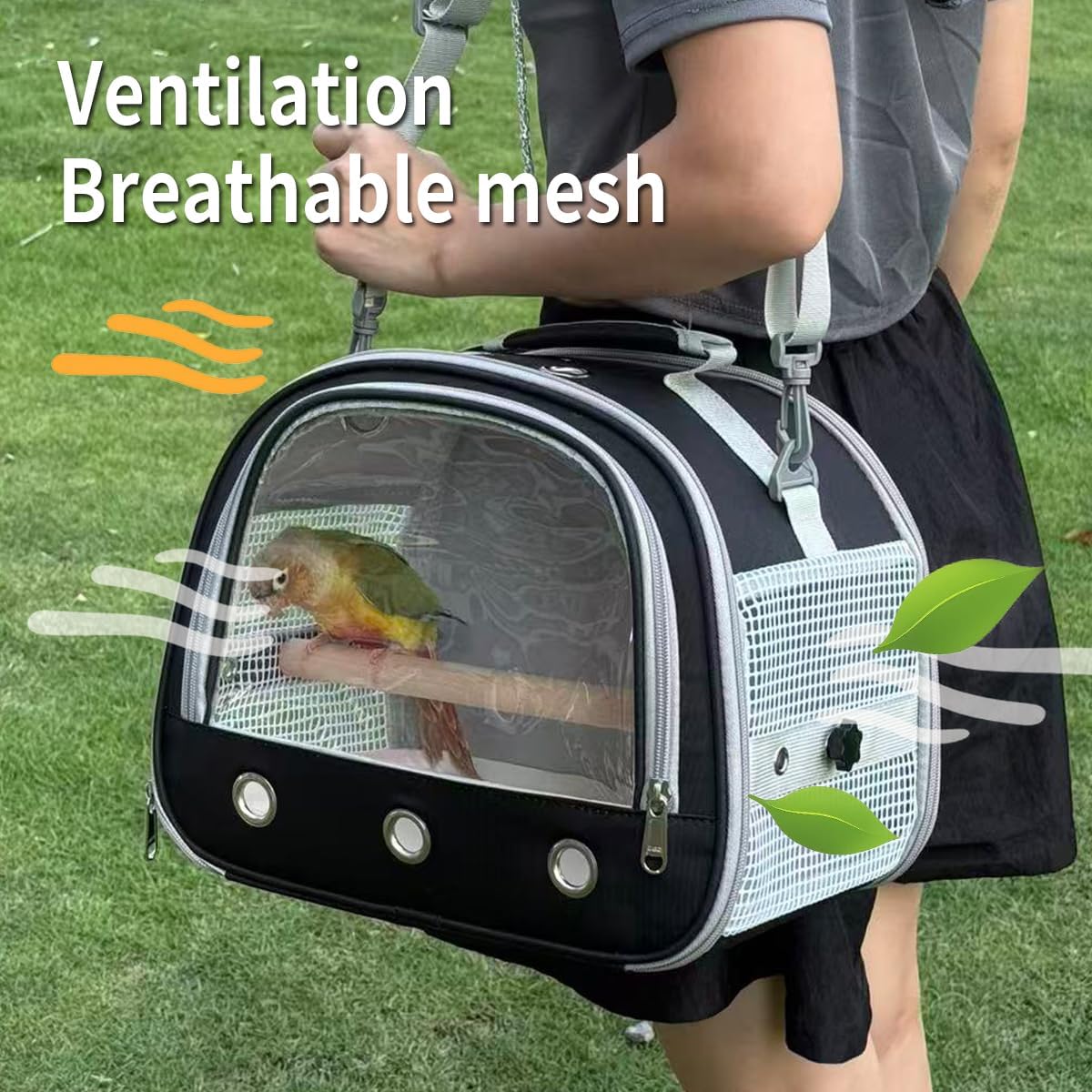 Bird Carrier,Bird Cage Parakeet Parrot Budgie Carrier Backpack for Small Birds, Travel Bird Cages with Perch, Transparent Ventilation Cockatiels, Lightweight Pet Carrier for Outdoor Use(Black)