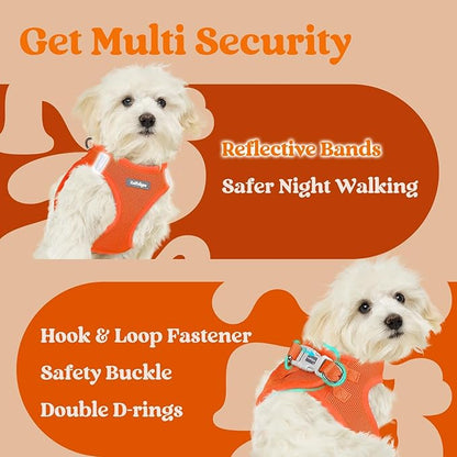 rabbitgoo Small Dog Harness, Step-in Soft Mesh Puppy Vest with Safety Buckle, Breathable Reflective Pet Harness for Large Dogs, Orange XXL