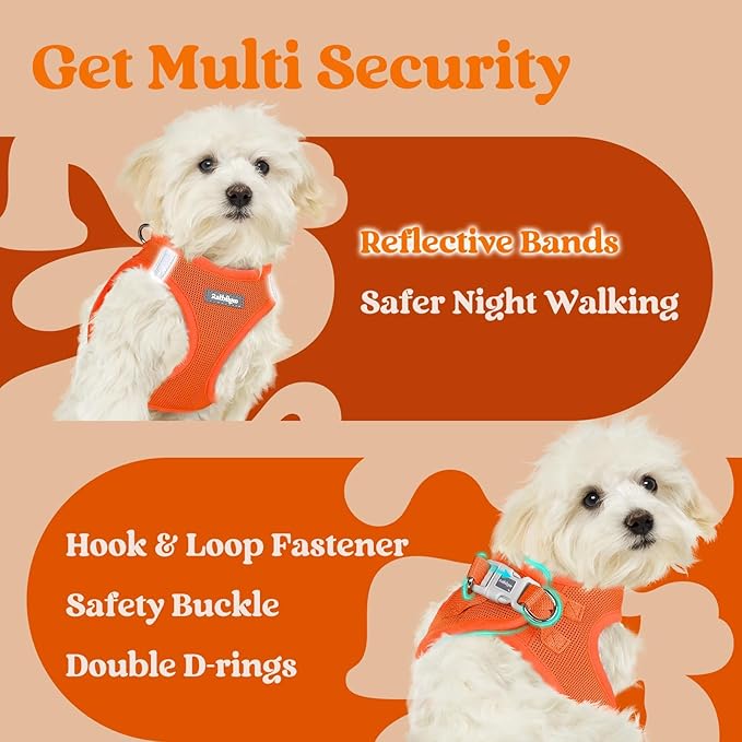 rabbitgoo Small Dog Harness, Step-in Soft Mesh Puppy Vest with Safety Buckle, Breathable Reflective Pet Harness for Small Medium Dogs, Orange L
