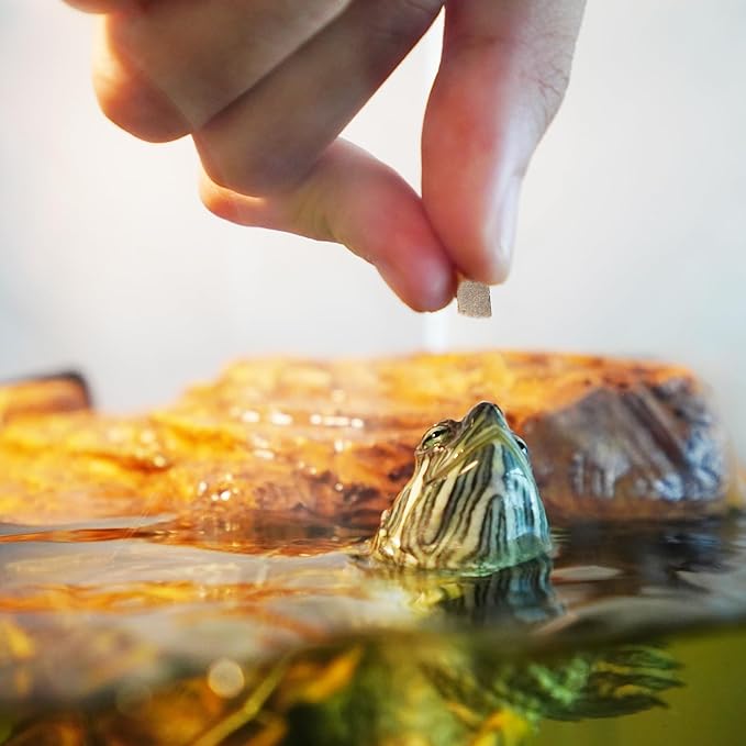 Turtle Food 5.7 OZ Natural Freeze-Dried Meat - Chicken, Duck, Salmon - Premium Food for Turtles, Box Turtle, Aquatic Turtle, Baby Turtles, Freeze Dried Turtle Treats