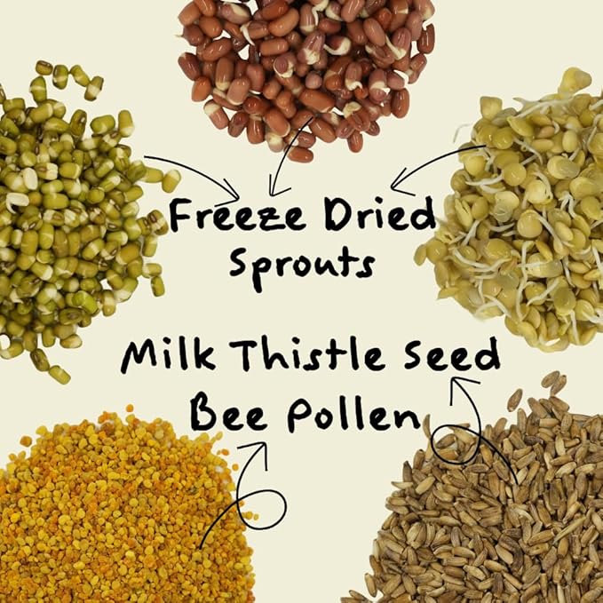 Feather Shine High Potency Blend with Bee Pollen & Freeze-Dried Sprouts - Premium Parrot Food for Molting, Breeding & Growth - Omega Rich | 17.5% Plant Protein | USA-Made