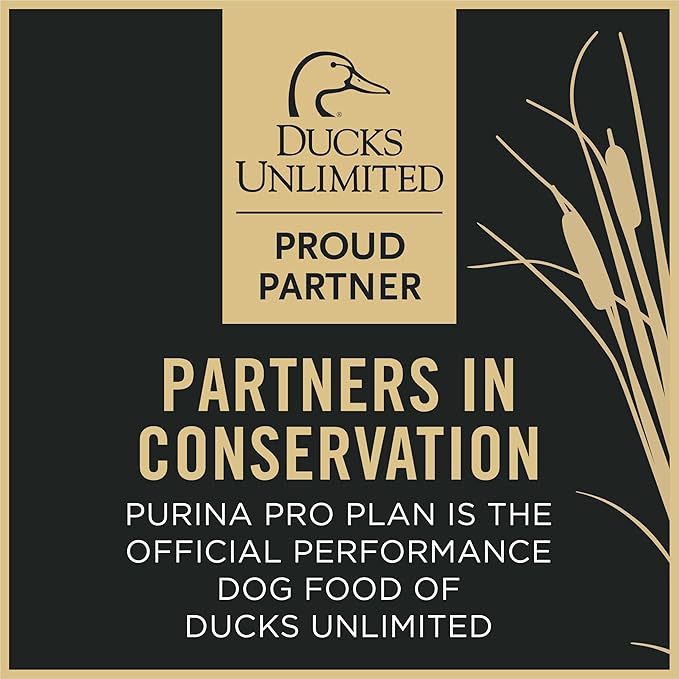 Purina Pro Plan Sport Performance 30/20 Beef and Bison Formula Dry Dog Food - 6 lb. Bag