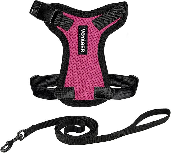 Voyager Step-in Lock Adjustable Cat Harness w. Cat Leash Combo Set with Neoprene Handle 5ft - Supports Small, Medium and Large Breed Cats by Best Pet Supplies - Fuchsia/Black Trim, XXXS