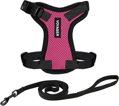 Voyager Step-in Lock Adjustable Cat Harness w. Cat Leash Combo Set with Neoprene Handle 5ft - Supports Small, Medium and Large Breed Cats by Best Pet Supplies - Fuchsia/Black Trim, XXXS