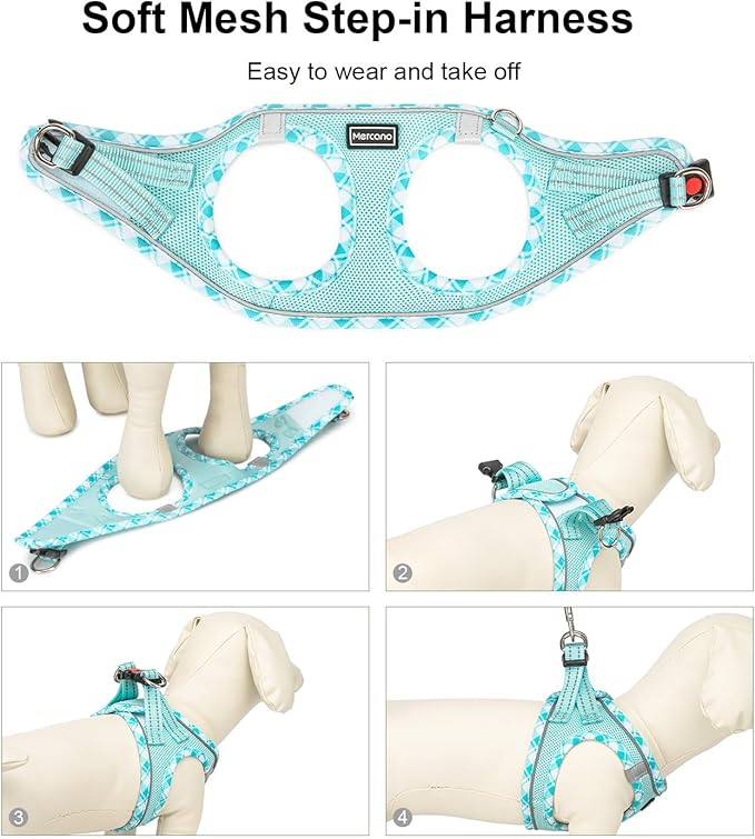 Mercano Soft Mesh Dog Harness and Leash Set, No-Chock Step-in Reflective Breathable Lightweight Easy Walk Vest Harnesses with Safety Buckle for Small Dogs, Cats (Light Blue, L)