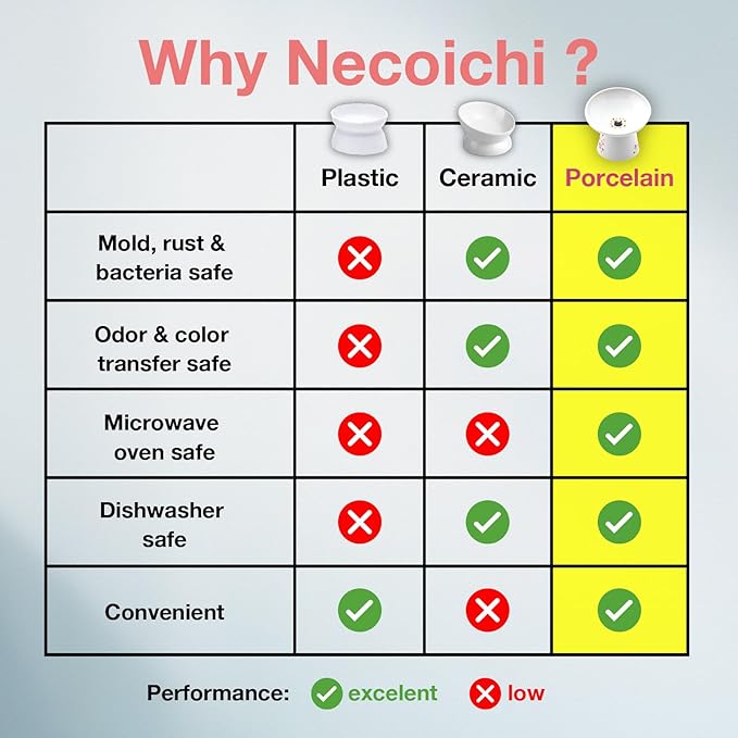 Necoichi Raised Cat Food Bowl – Ceramic Elevated 15° Tilted Cat Bowl for Whisker & Neck Fatigue, Dishwasher Microwave Safe – Non-Slip Anti Vomiting Ergonomic Design (Sakura Floral, Extra Wide Tilted)