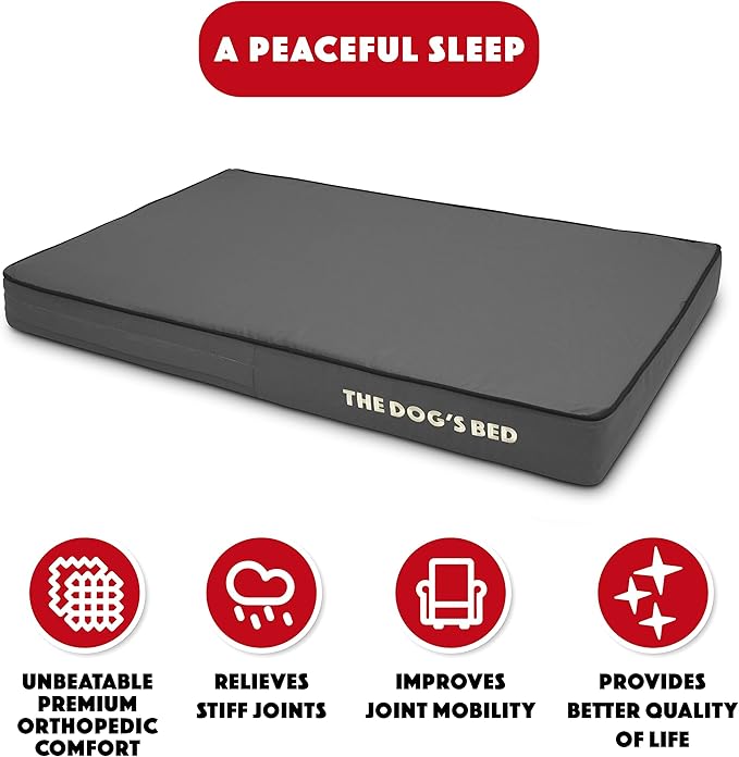 The Dog’s Bed Orthopedic Memory Foam Dog Bed, Medium Grey & Black, Waterproof, Supportive Dog Bed with Replaceable Covers