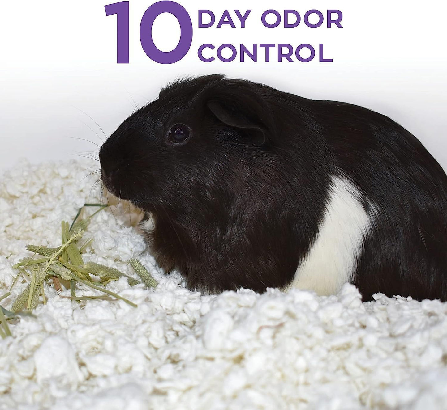 Carefresh 99% Dust-Free White Natural Paper Small Pet Bedding with Superior 10 Day Odor Control & Absorption, for Guinea Pigs, Hamsters, Rabbits, & Rats, 60 L