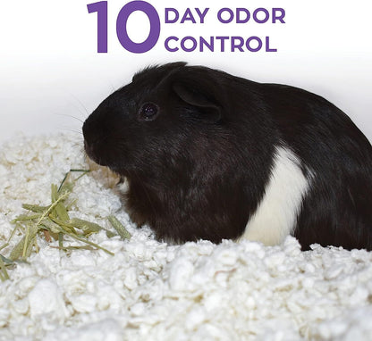 Carefresh 99% Dust-Free White Natural Paper Small Pet Bedding with Superior 10 Day Odor Control & Absorption, for Guinea Pigs, Hamsters, Rabbits, & Rats, 60 L