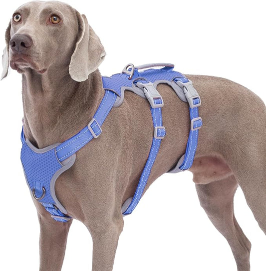 Huntboo Escape Proof Dog Harness, No Pull Reflective Harness with Lift Handle, Adjustable Pet Vest with Front and Back Leash Clips for Small Medium Large Dogs Walking Hiking Training (Vista Blue,L)