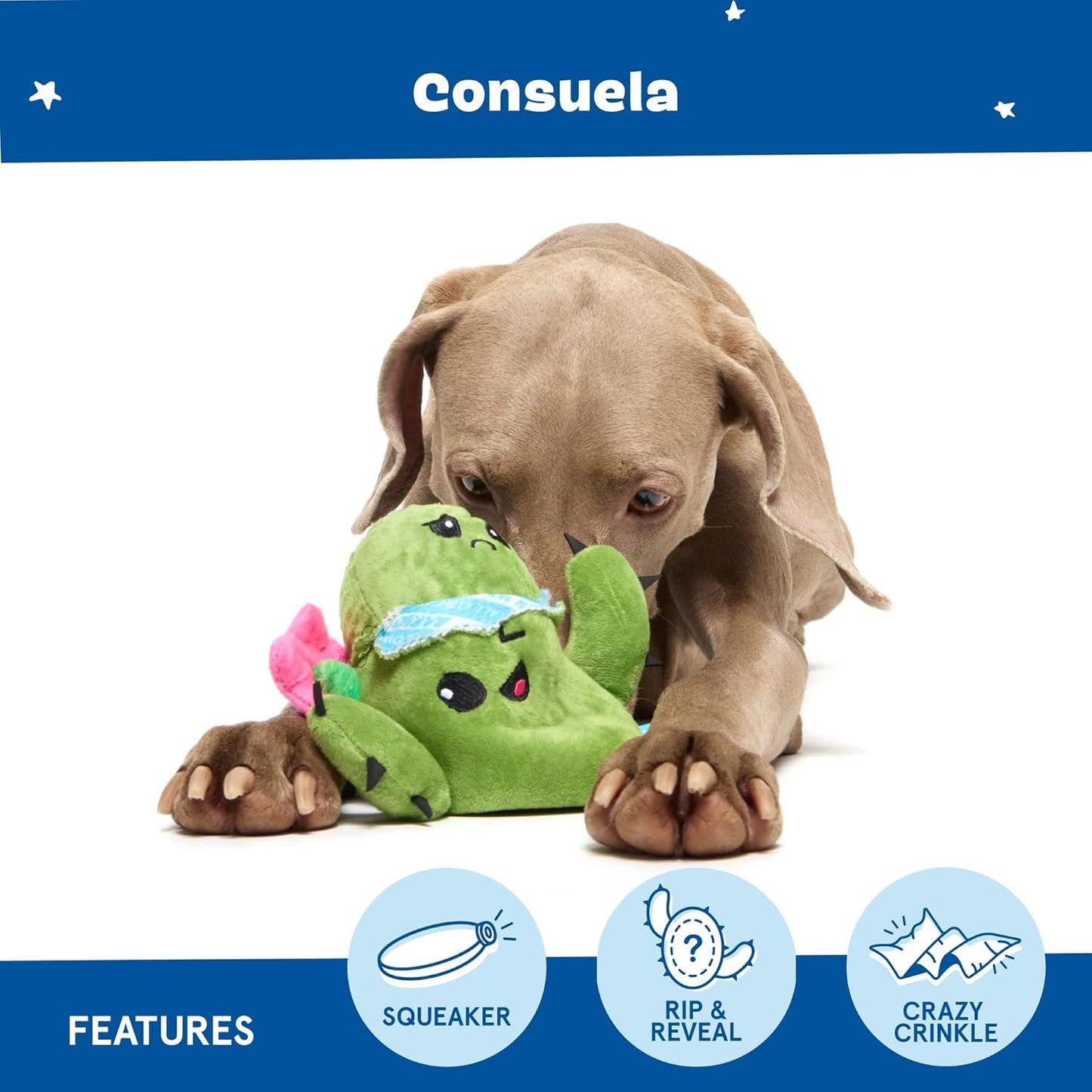 Barkbox 2 in 1 Interactive Plush Dog Toy - Rip and Reveal Toy for Dogs and Puppies - Stimulating Squeaky Pet Toys | Consuela Cactus (Large)