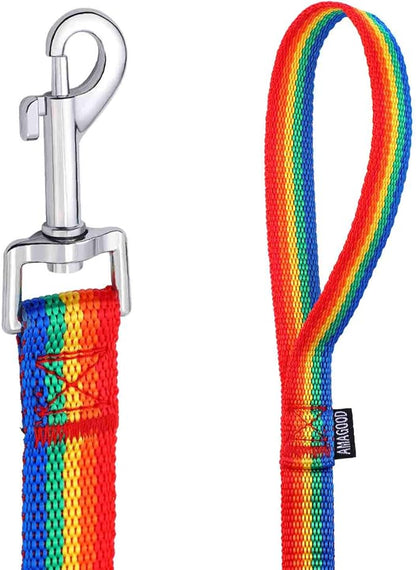 AMAGOOD 6 FT Puppy/ Dog Leash, Strong and Durable Traditional Style Leash with Easy to Use Collar Hook, Great for Small and Medium Dogs (3/4 in x 6 ft(Pack of 1), Rainbow)