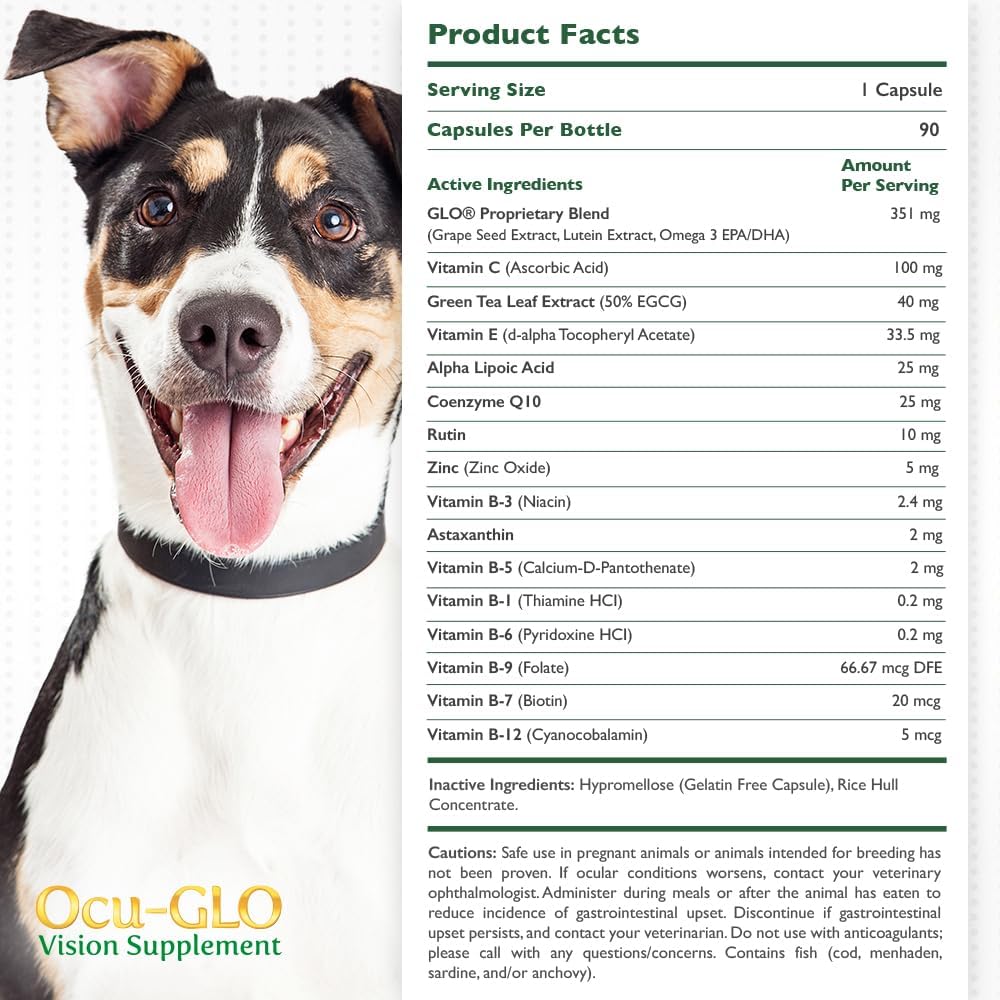Ocu-GLO PB Vision Supplement for Medium & Large Dogs – Easy to Administer Powder Blend with Lutein, Omega-3 Fatty Acids, Grape Seed Extract & Antioxidants to Promote Eye Health, 90ct Powder Capsules