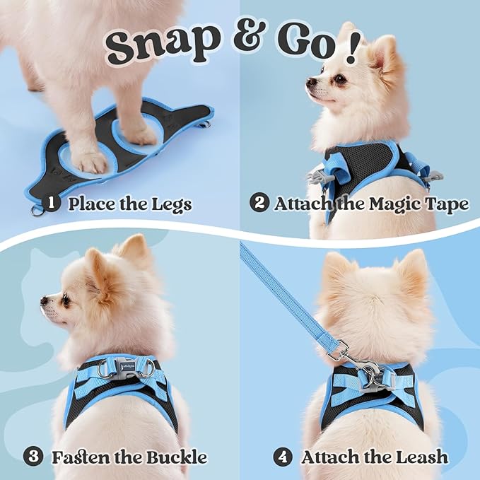 rabbitgoo Dog Harness Small Sized and Leash Set, Step-in Breathable Pet Harness, Soft Walking Reflective Puppy Vest for Small Dogs, Black & Light Blue, XS