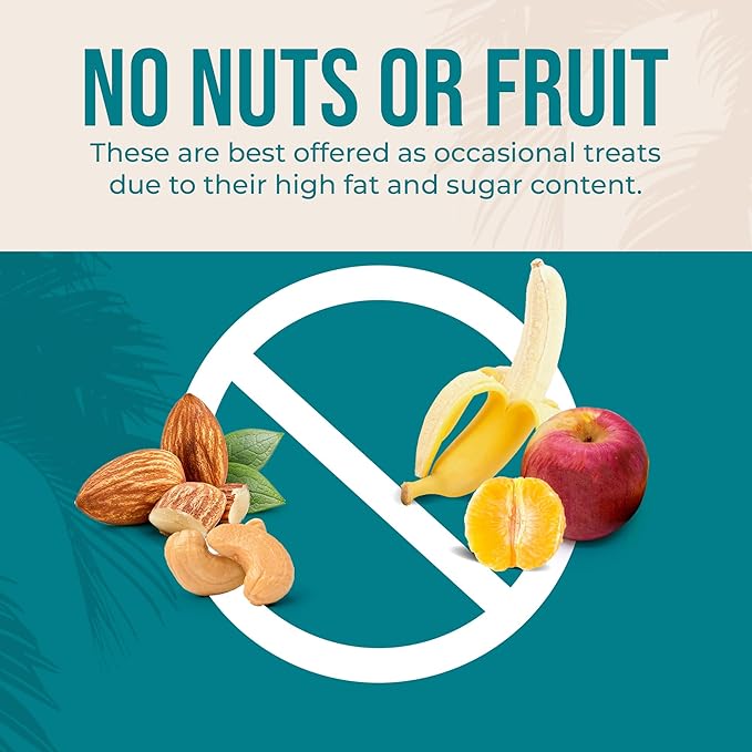 80% Organic Parakeet Food - No Fillers, Fatty Seeds, or Dyes - Budgies, Lovebirds & Parrotlets - Premium Human Grade Seed Mix, Grain & Wholesome Veggies – Made in USA (2 lbs)