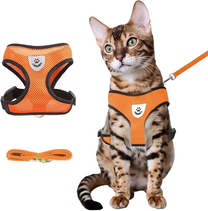shudyear Summer cat Chest Harness and Leash, Anti-Escape Adjustable Soft mesh cat Leash and Chest Harness Set for All Types of Cats cat Vests (Size L, Orange)