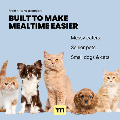 MalsiPree Dog Bowls Elevated & Pet Bowls - Small, Sand Beige - 45° Tilt Stand with Splash Guard - Dog Feeding Station with Ceramic Dishes for Food & Water