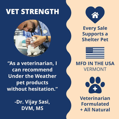 Under the Weather Ready Cal Powder for Cats | High-Calorie Weight Gainer & Appetite Stimulant | Cat Energy Booster Veterinarian-Approved Pet Supplement with Vitamins & Minerals | Chicken Flavor