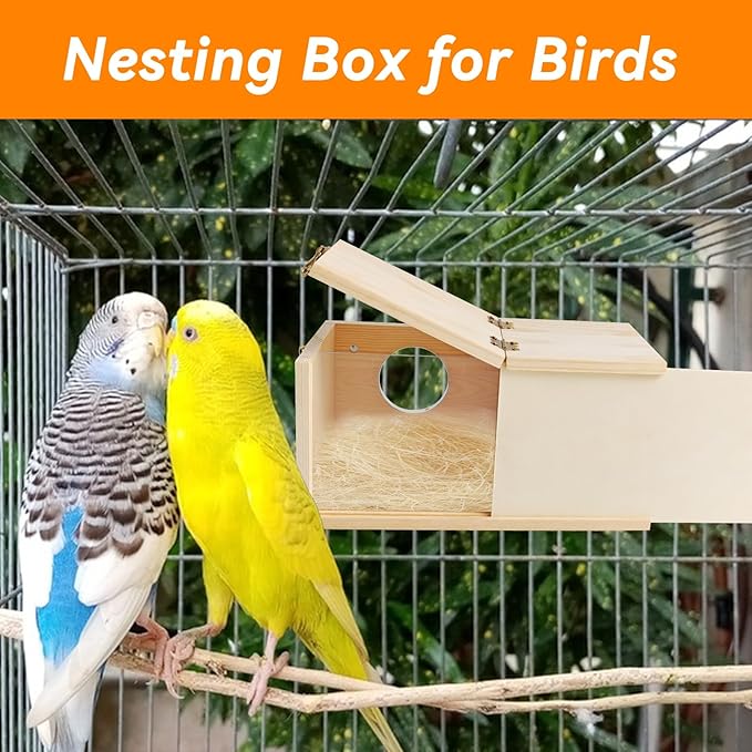 PINVNBY Nesting Box for Birds,Wooden Parakeet Nest Box with Detachable Board Transparent Visual Cockatiel House for Budgie Lovebird Conure Parrot (XL)