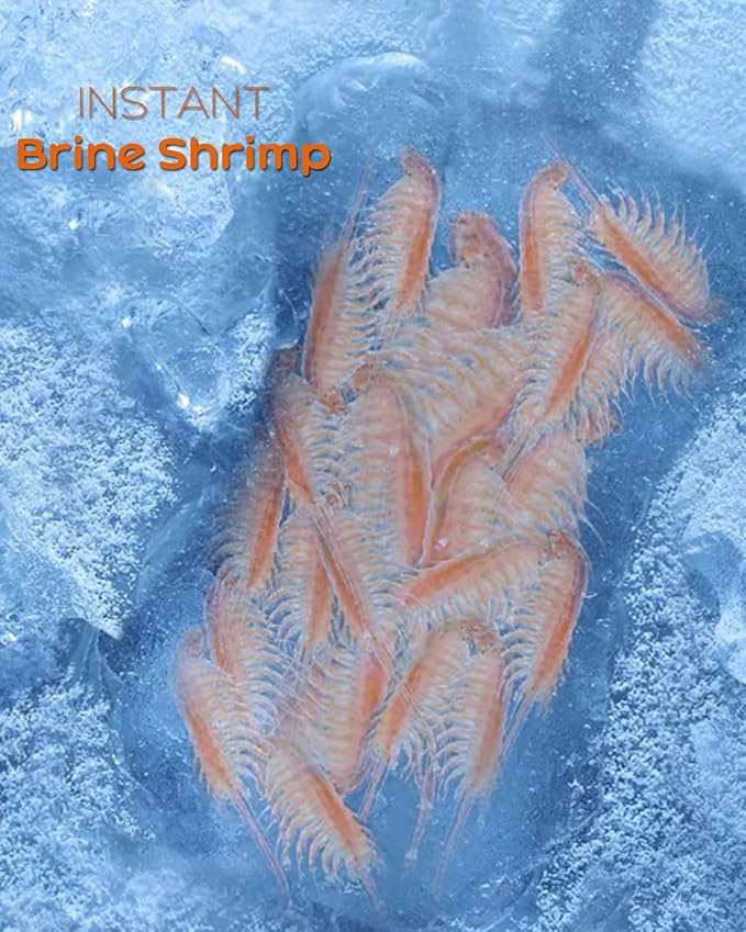 Instant Fish Food - Non-Living Adult Brine Shrimp for Fry/Larvae, Small Fish, Corals, Jellyfish, Seahorses & Invertebrates