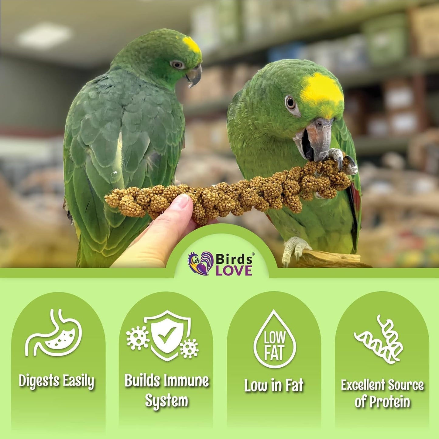 Birds LOVE French Kissed Spray Millet for Birds - Parakeets, Cockatiels, Lovebirds, Finches, Budgies, Canaries, Cockatoos - Natural & Healthy Bird Millet - Parakeet Food & Treats for All Parrots 1lb