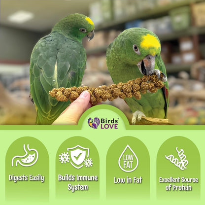 Birds LOVE French Kissed Spray Millet for Birds - Parakeets, Cockatiels, Lovebirds, Finches, Budgies, Canaries, Cockatoos - Natural & Healthy Bird Millet - Parakeet Food & Treats for All Parrots 1lb